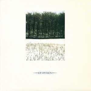 成人插在线无码免费视频
